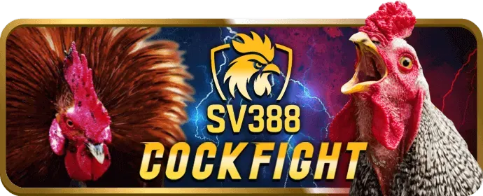 Tổng hợp các chương trình khuyến mãi 2king88 hot nhất